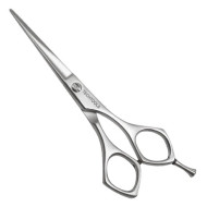 Professional Hair Cutting Shears